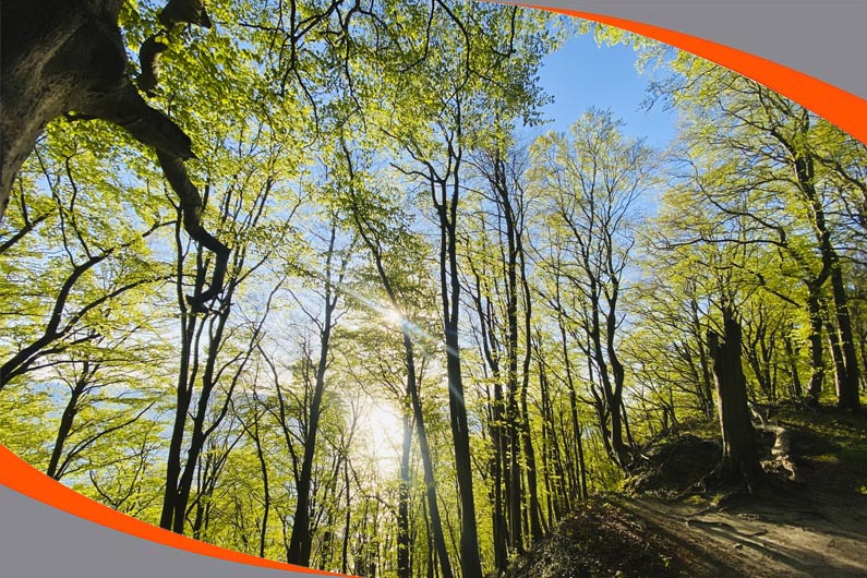 Kurze Pause zum 1. Mai!